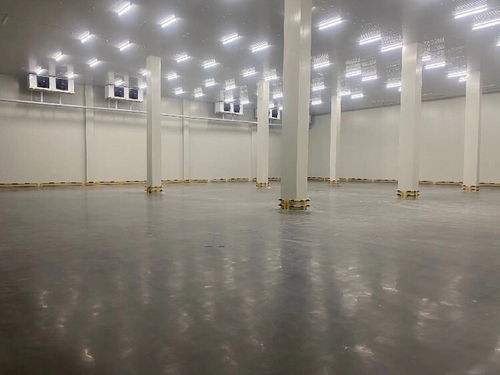 貨運物流中的信譽與專業服務 化工品、冷鏈整車與零擔運輸解析