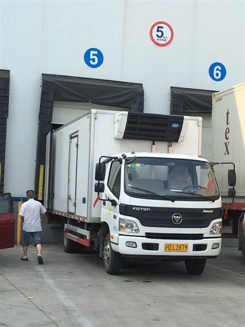 江蘇張家港到樂東縣肉類冷凍車配送服務 專業冷鏈運輸解決方案